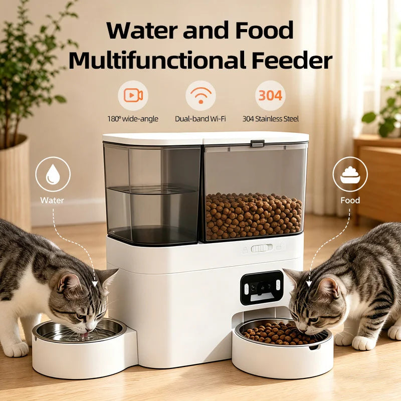 Two cats side by side, one drinking from the water bowl and one eating from the food bowl