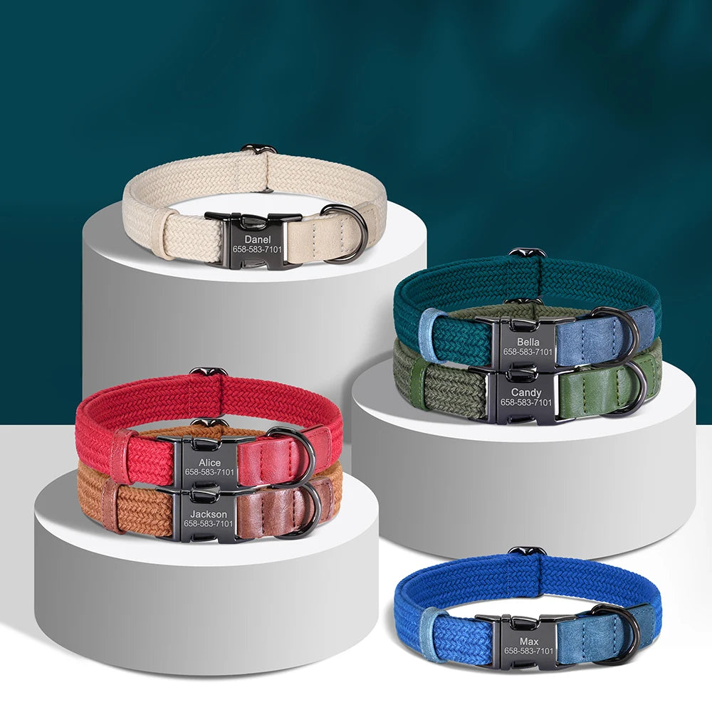 The six colours arranged on display stands