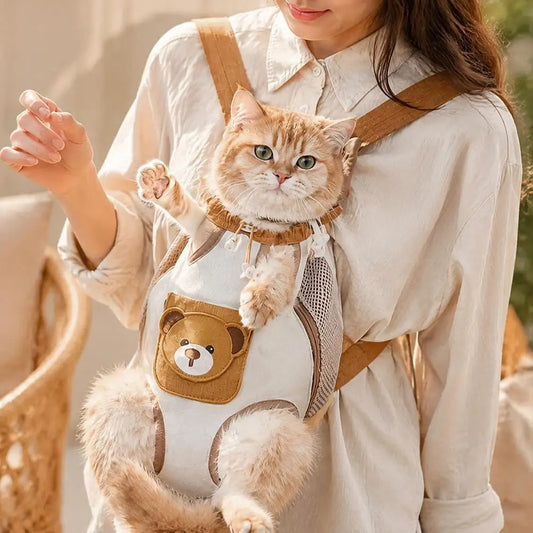 Ginger cat raising a paw from the front carrier worn by a woman in a cream shirt