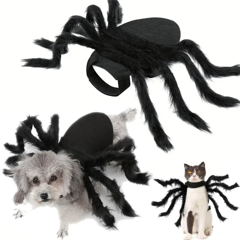 The costume on a small dog and on a cat