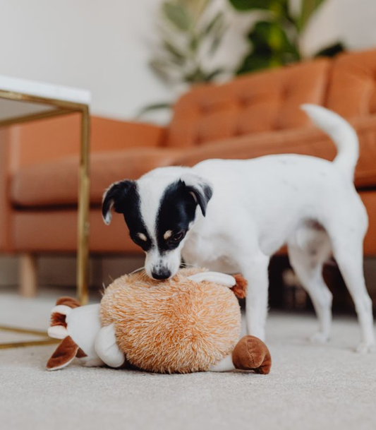 A dog holding a plush toy