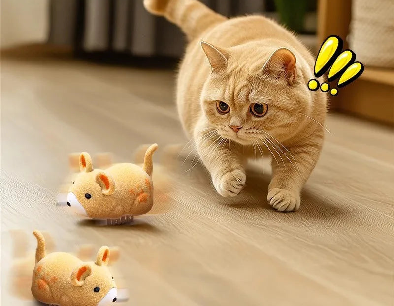 A ginger cat stalking two electric toy mice across a wooden floor