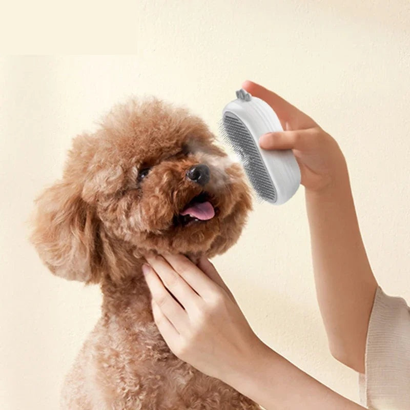 Pet Care